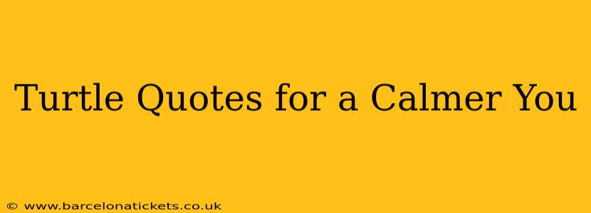 Turtle Quotes for a Calmer You
