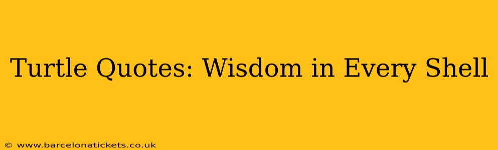 Turtle Quotes: Wisdom in Every Shell