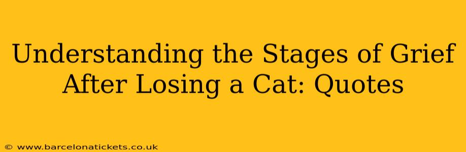 Understanding the Stages of Grief After Losing a Cat: Quotes
