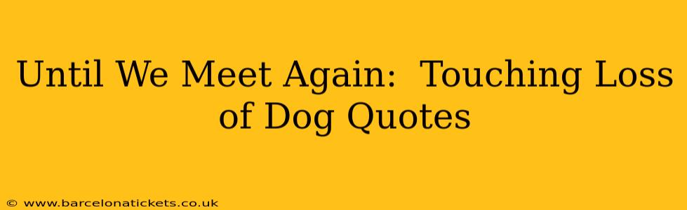 Until We Meet Again:  Touching Loss of Dog Quotes