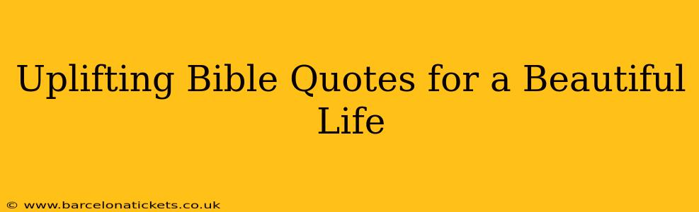 Uplifting Bible Quotes for a Beautiful Life