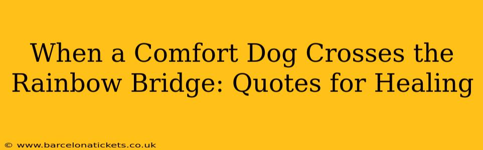 When a Comfort Dog Crosses the Rainbow Bridge: Quotes for Healing