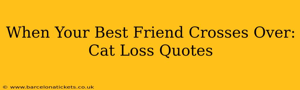 When Your Best Friend Crosses Over: Cat Loss Quotes