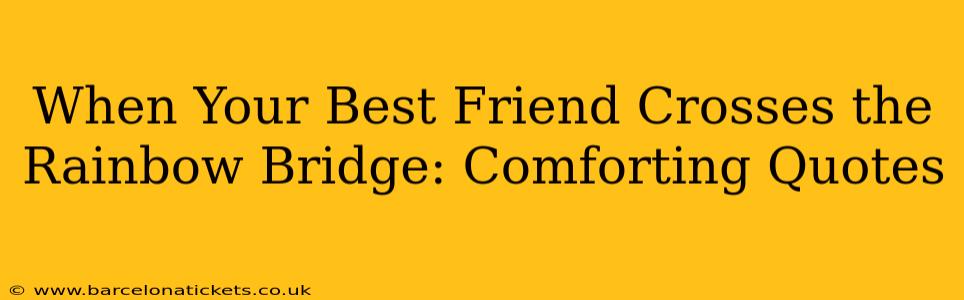 When Your Best Friend Crosses the Rainbow Bridge: Comforting Quotes
