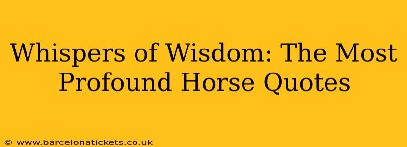 Whispers of Wisdom: The Most Profound Horse Quotes