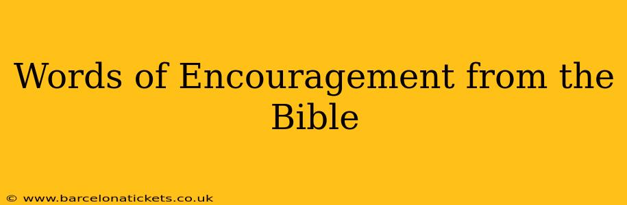 Words of Encouragement from the Bible